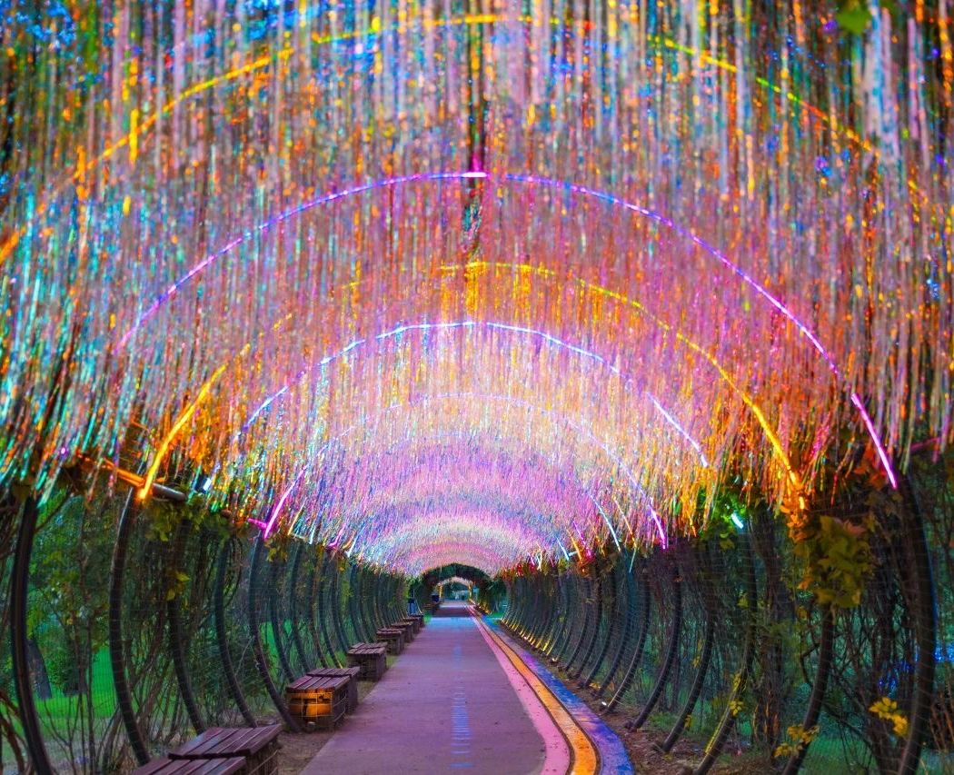 Joyland scenic spot