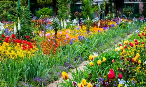 莫奈花園