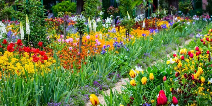 Fondation Monet in Giverny image 2