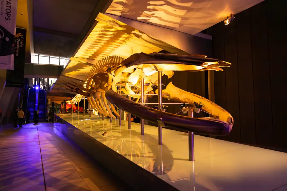 5_Melbourne Museum
