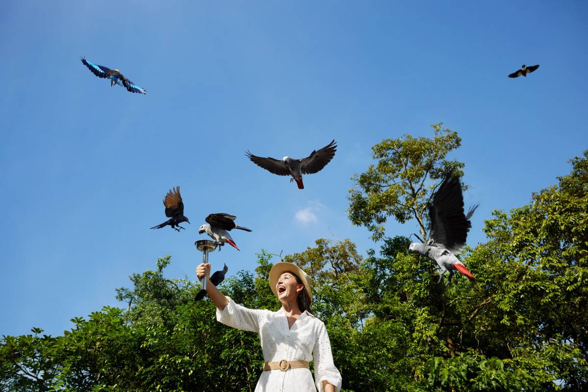 Mandai Wildlife Reserve