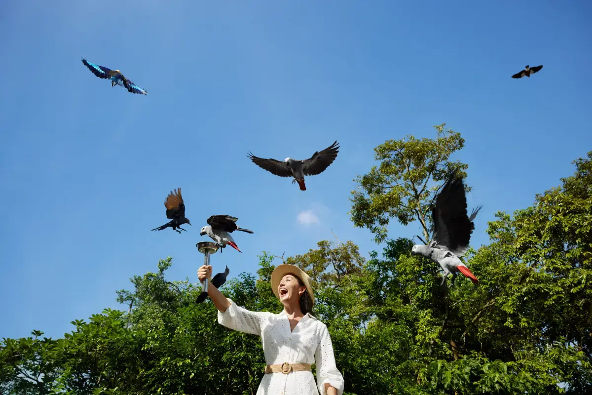 Singapore Zoo Ticket Types
