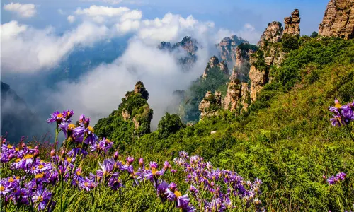 Baishishan World Geopark