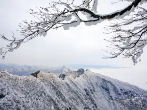 Micang Mountain National Forest Park