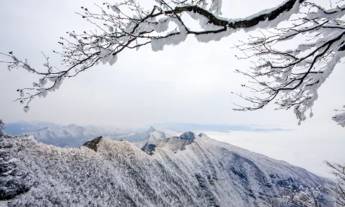 Micang Mountain National Forest Park