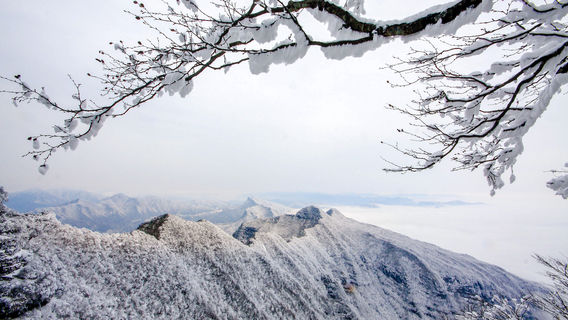 Micang Mountain National Forest Park