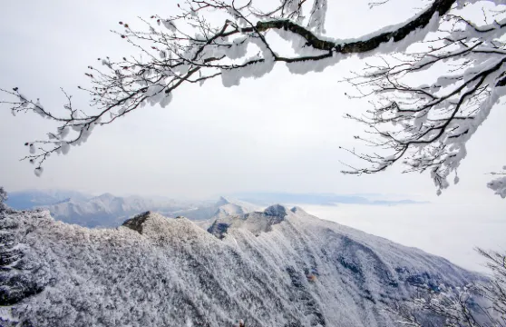 米倉山國家森林公園門票成人