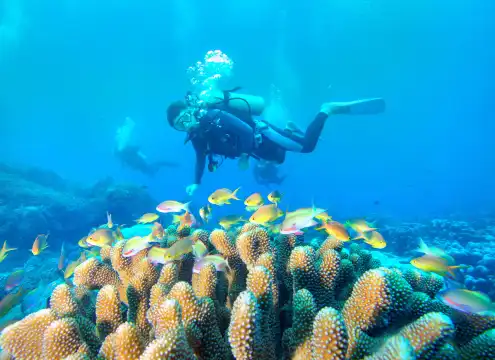 Hotels near Dadonghai Beach