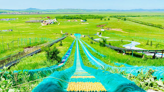 Bashang Grassland Carnival