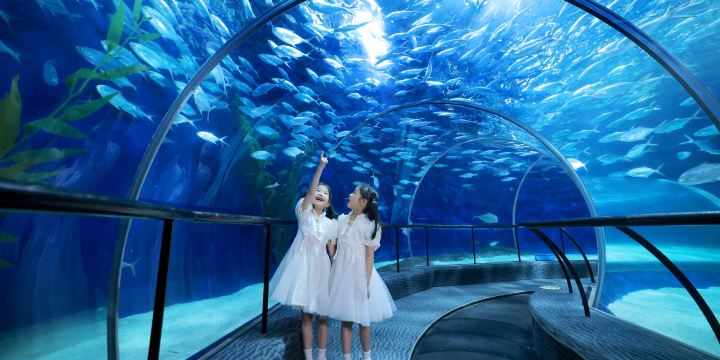 Shanghai Ocean Aquarium