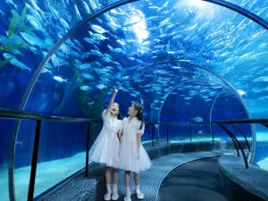 Shanghai Ocean Aquarium