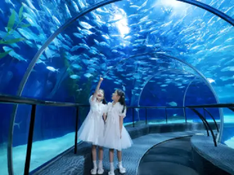 Shanghai Ocean Aquarium