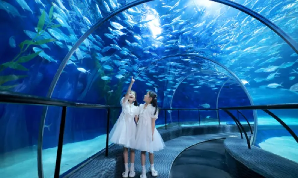 Shanghai Ocean Aquarium