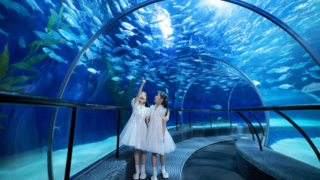 Shanghai Ocean Aquarium