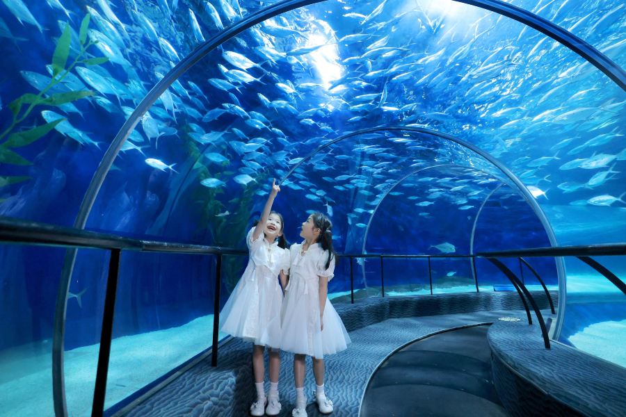 上海海洋水族館