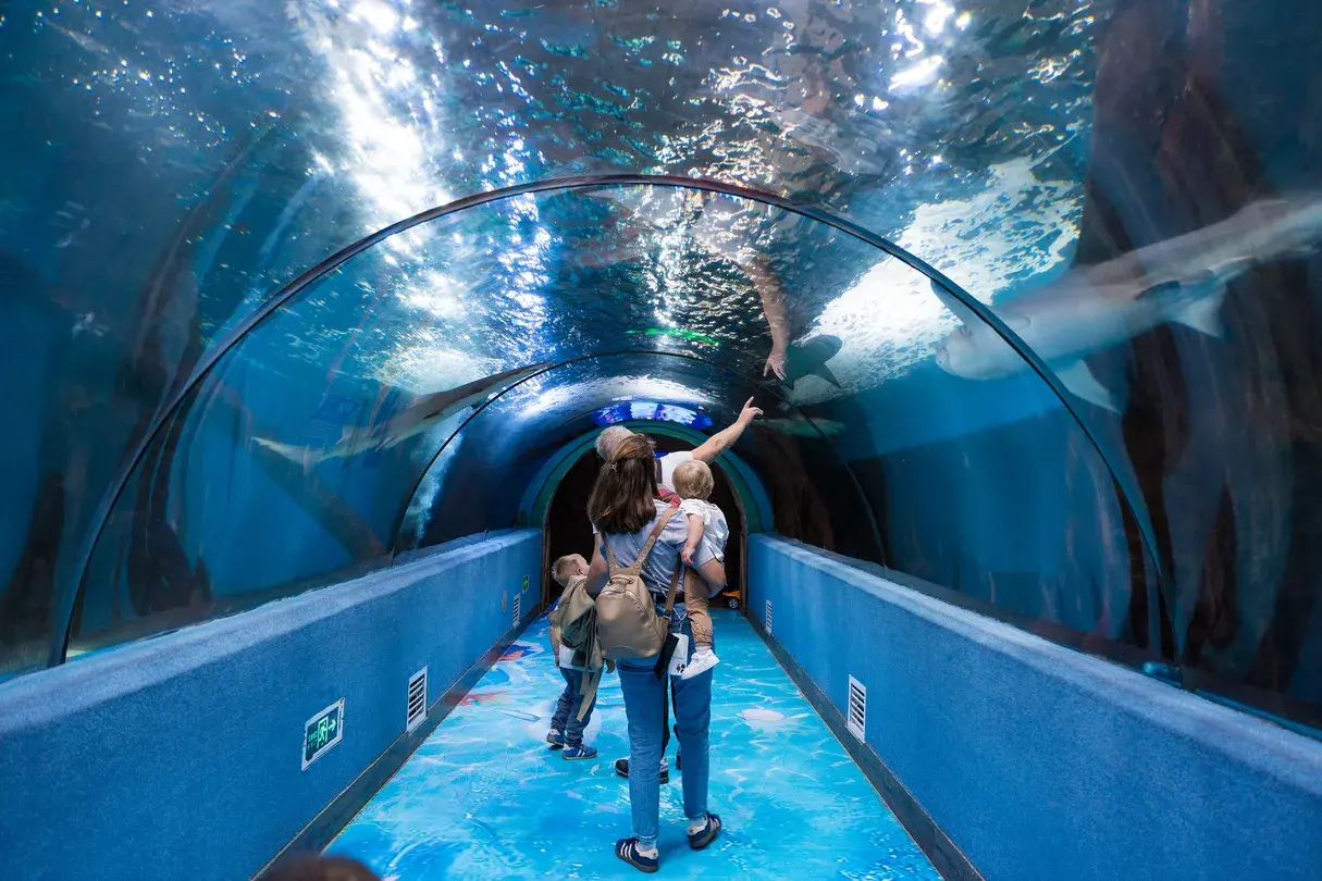 3_Hefei Andover Oceanarium