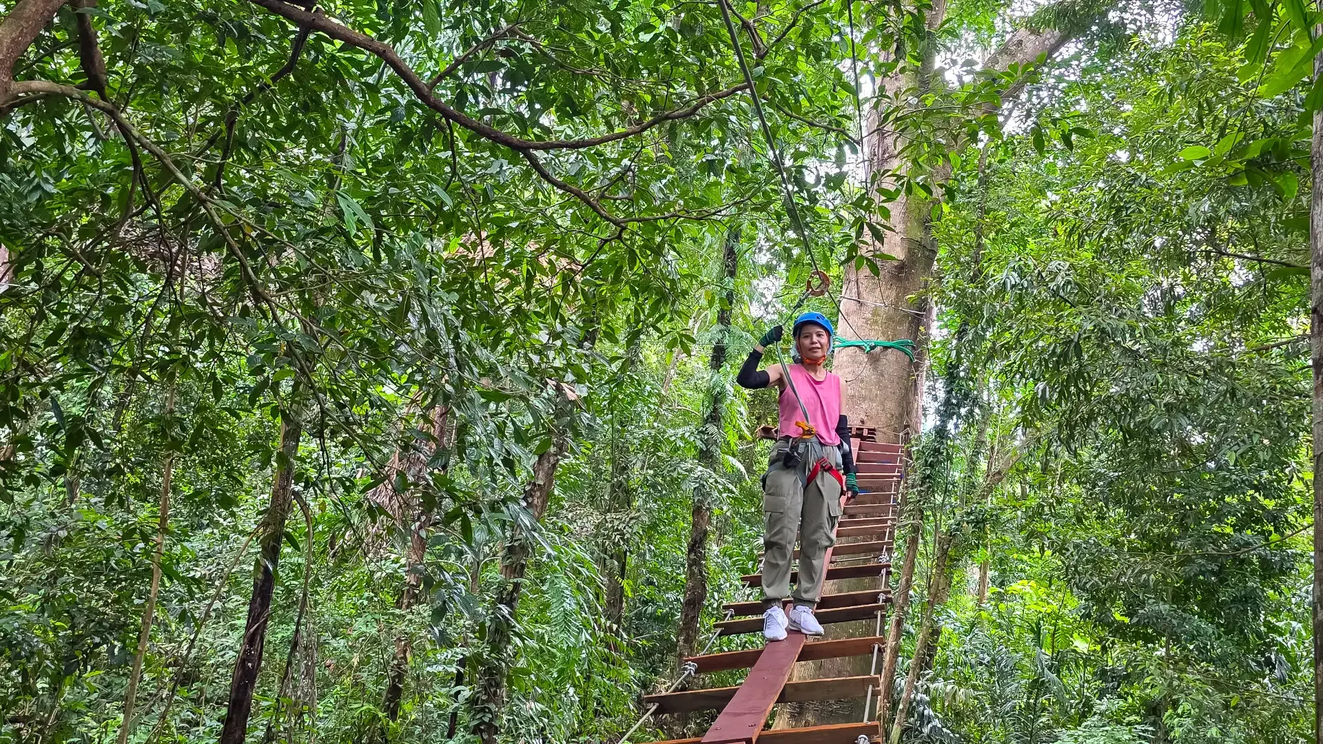 Hotels in der Nähe von Tree Top Adventure Park