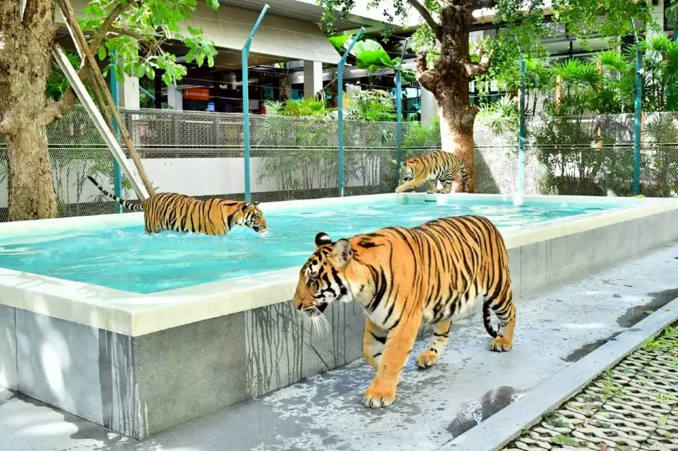 2_สวนเสือ พัทยา