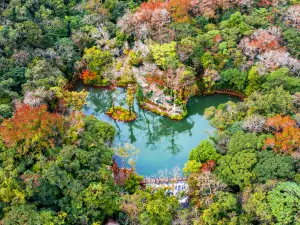 海南百花嶺熱帯雨林文化観光区