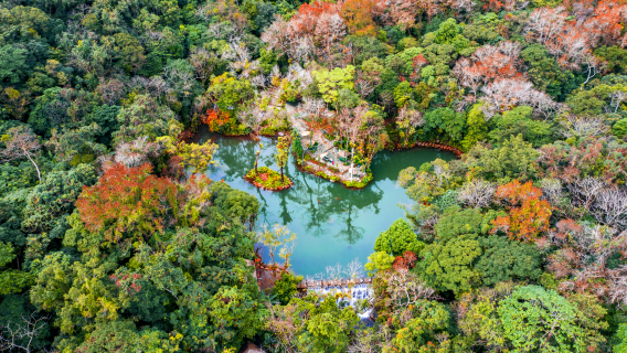 Baihualing Tropical Rainforest Cultural Tourism Area