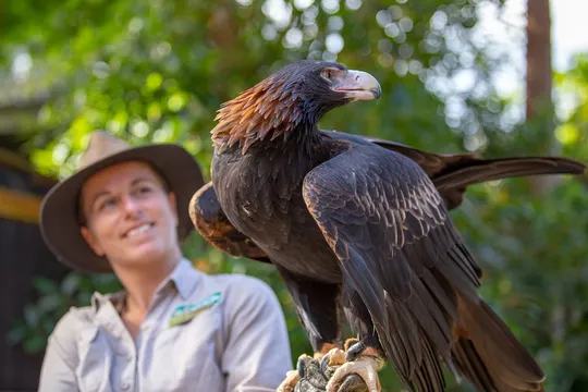 5_Currumbin Wildlife Sanctuary