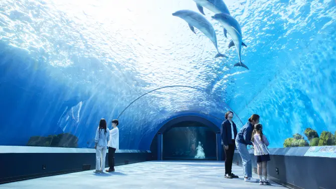 4_八景島海島樂園