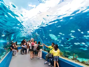 Cebu Ocean Park