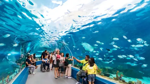 宿霧海洋公園 attraction in 宿霧