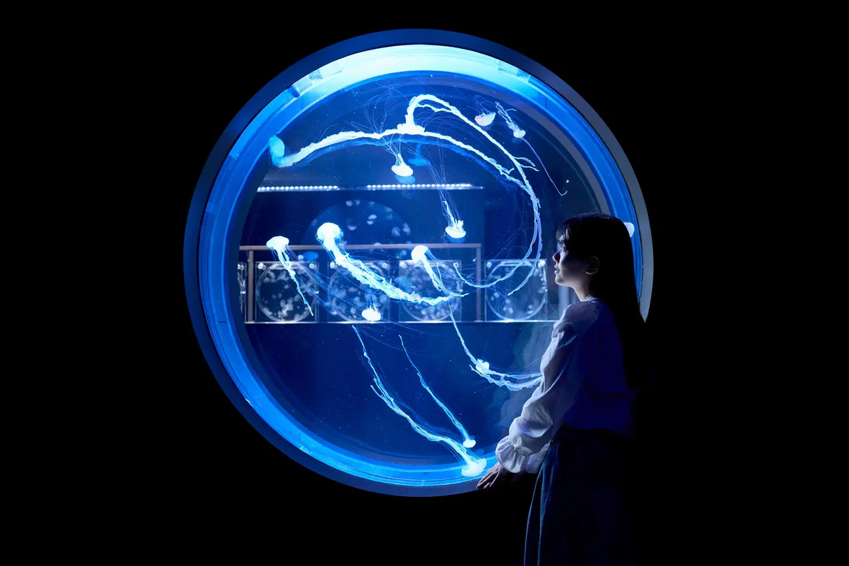 2_AOAO SAPPORO(北海道)