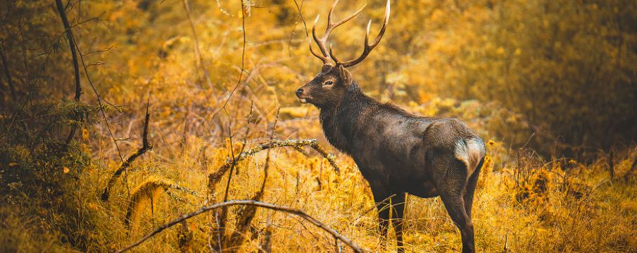 이랑산 라바허 관광지