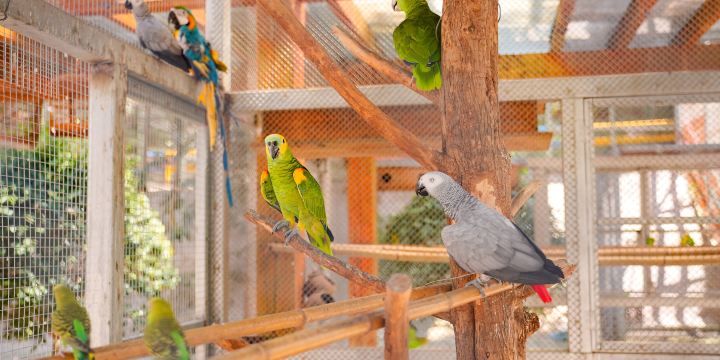 Jinhua Zoo