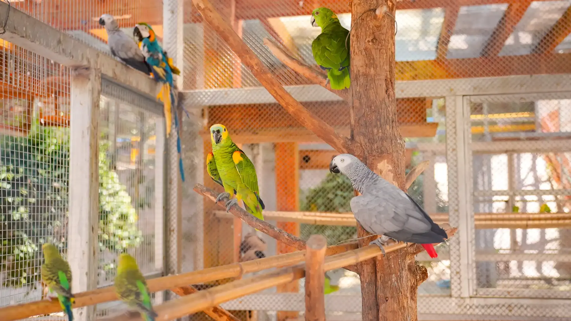 Hotel dekat Jinhua Zoo