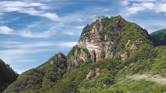 สวนสาธารณะหุบเขาหงซาน