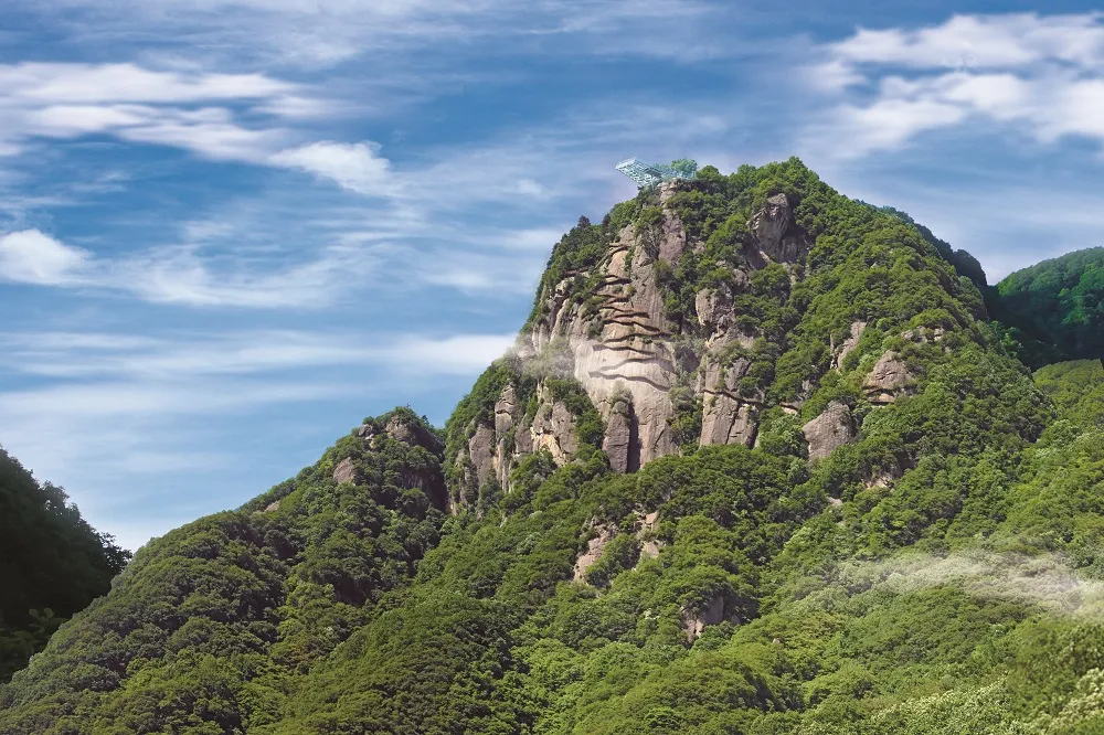 홍허구 삼림공원