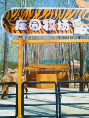 Shunyi Tiger Paradise