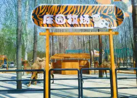 Shunyi Tiger Paradise
