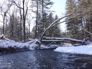 First Draftage of Tianchi Water