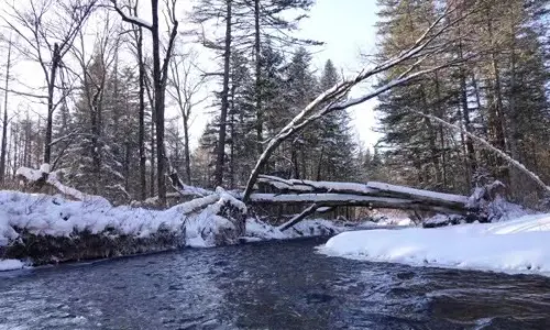 First Draftage of Tianchi Water