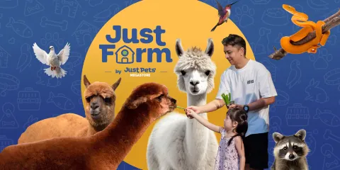 Just Farm @ Just Pets Megastore (Kota Damansara)農莊門票優待(小童/長者/殘疾人士)