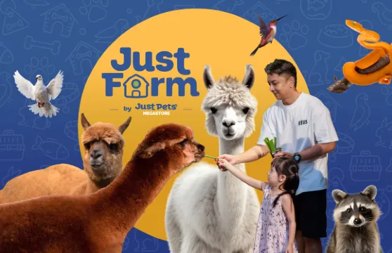 Just Farm @ Just Pets Megastore (Kota Damansara)農莊門票優待（小童／長者／殘疾人士）