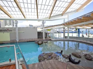 New England Aquarium