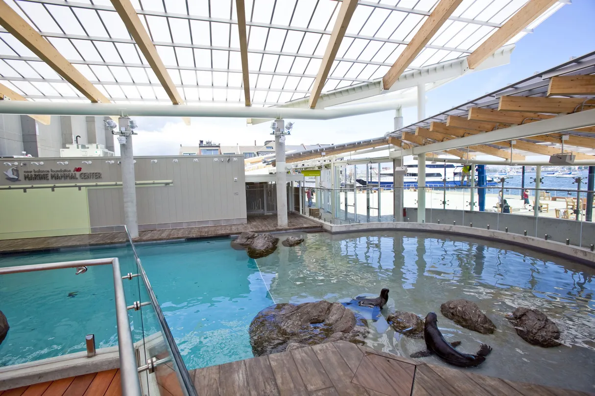 4_New England Aquarium