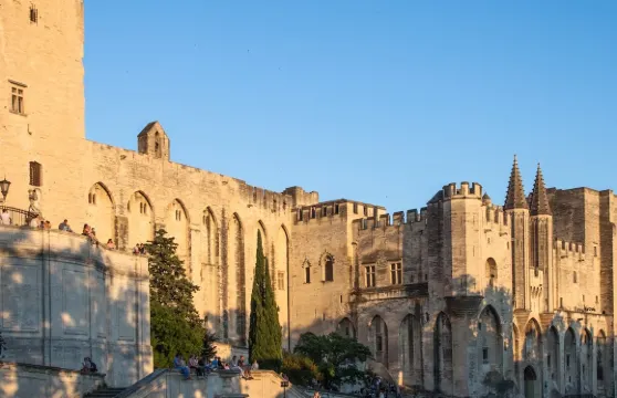 教皇宮＋阿維尼翁橋票成人