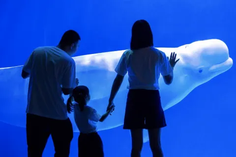 成都極地海洋公園