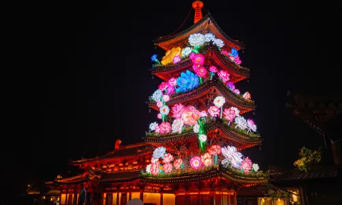 Nianhua Wan