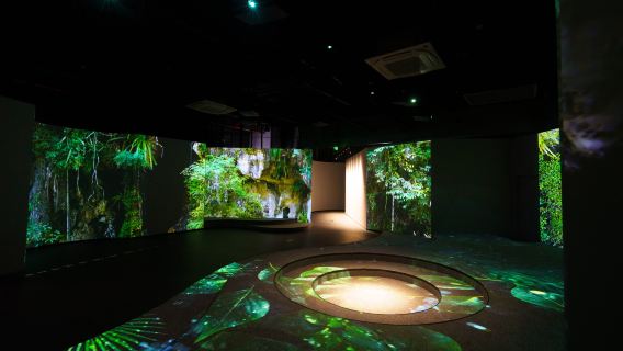 Chinese National Geography MAGZONE