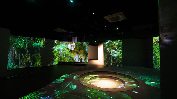 China National Geographic · MAGZONE 3D Magazine Space