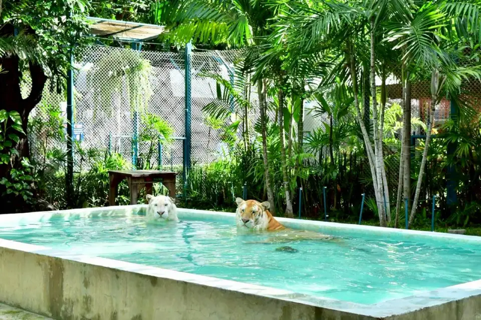 5_สวนเสือ พัทยา