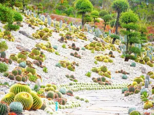 太平湖國際生態旅遊度假區