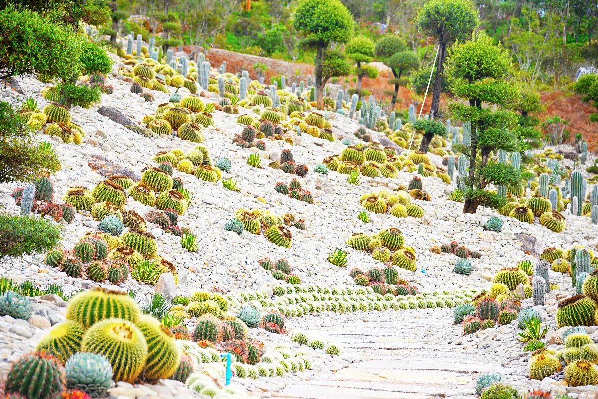 2_太平湖國際生態旅遊度假區